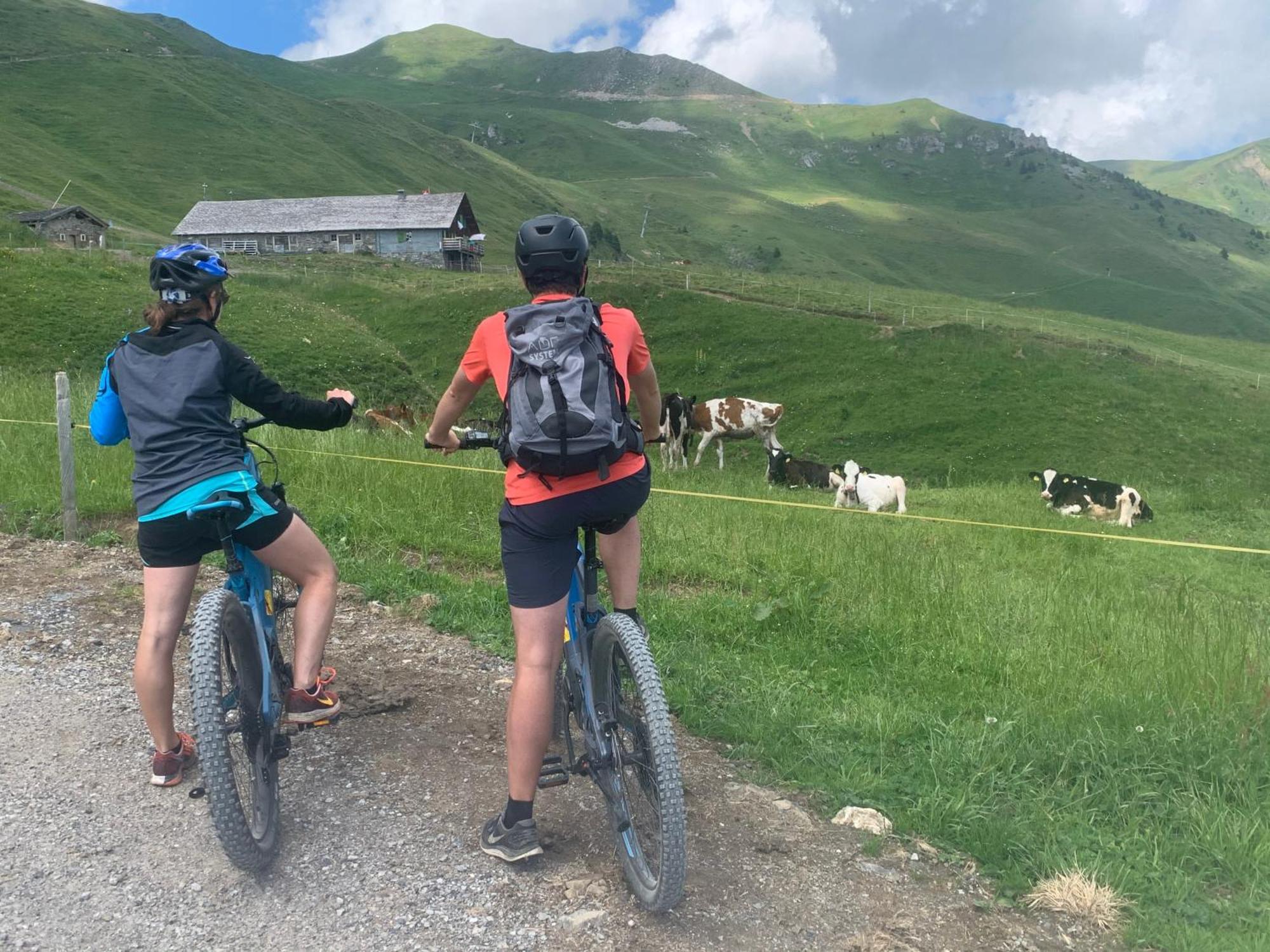 Chalet Montriond - Bike & Ski Les Crosets Eksteriør bilde