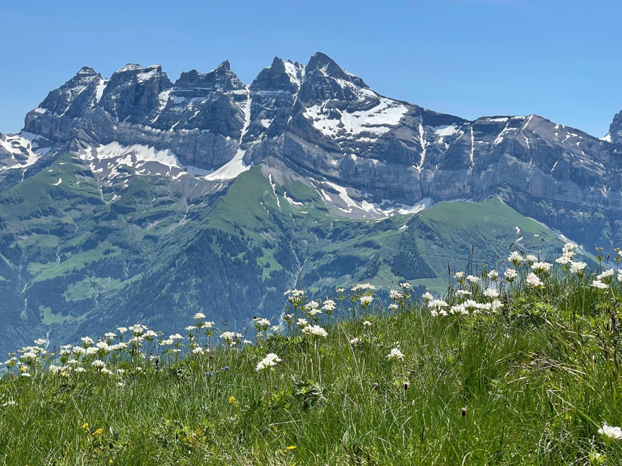 Chalet Montriond - Bike & Ski Les Crosets Eksteriør bilde